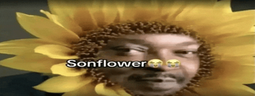 SONflower emote