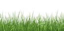 GRASS