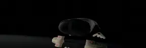 bass11 emote