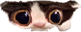 monkaWide