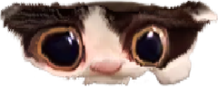 velca emote