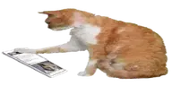 doomscrolling emote