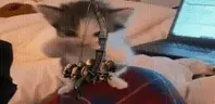 IMSCUBA emote