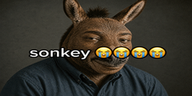 SONKEY emote