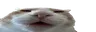 UntzUntz