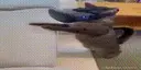 catSecs