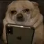 cryingdog