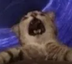 perish