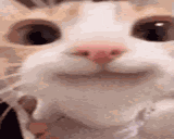 :3