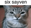 sixsayven emote