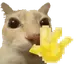 hihellohowareyou