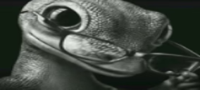 nadamal