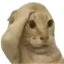 worrycat