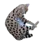 kasiDive