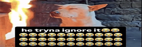 hetrynaignoreit emote
