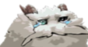 PoroSludge emote