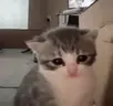g emote