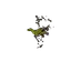 unvanish