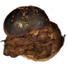 tastyBurger emote