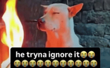 trynaignoreit emote