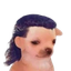 Mullet
