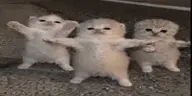 Gang emote