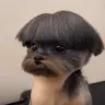 BEIAPO emote