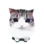 damdamdidididi
