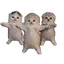 dancas