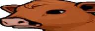 wideWinnieHuh