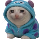 CATsaddy2