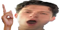 hestom emote