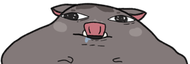 bo