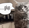 gulp emote