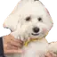 FarleyVibe