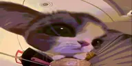 0-0 emote