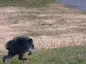 JimothyRun
