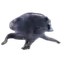 jimothy