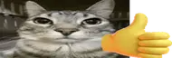 ss