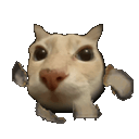 doserun