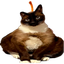 :peca:
