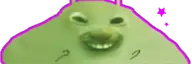 doggnce