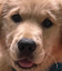 murphyHappy