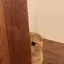 !lurk