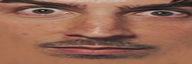 widesnark