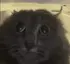 tuhcute