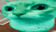 buuh