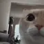 dpmo