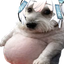 vChud