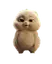 AYYYY